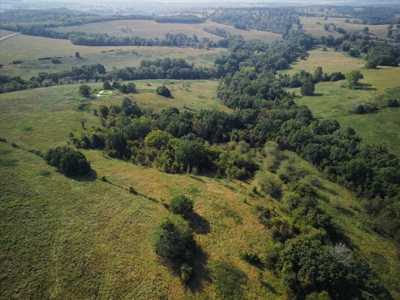 Missouri Ozarks 225 Acre Cattle Ranch with Hay Grounds - image 16