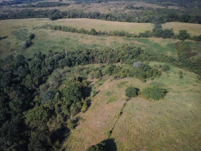 Missouri Ozarks 225 Acre Cattle Ranch with Hay Grounds - image 19