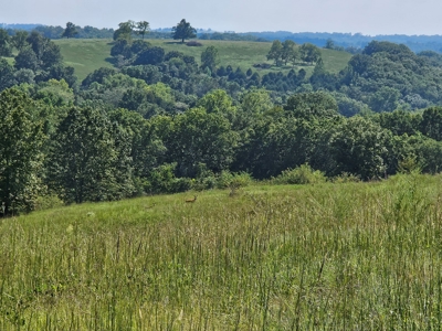 Missouri Ozarks 225 Acre Cattle Ranch with Hay Grounds - image 32