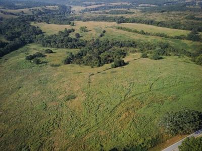 Missouri Ozarks 225 Acre Cattle Ranch with Hay Grounds - image 8