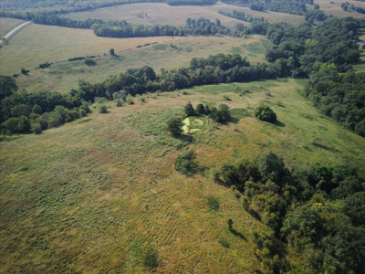 Missouri Ozarks 225 Acre Cattle Ranch with Hay Grounds - image 18