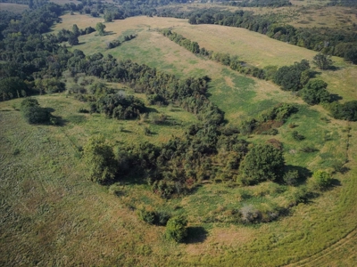 Missouri Ozarks 225 Acre Cattle Ranch with Hay Grounds - image 15