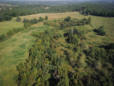 Missouri Ozarks 225 Acre Cattle Ranch with Hay Grounds - image 23