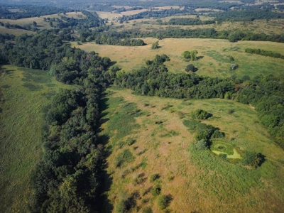 Missouri Ozarks 225 Acre Cattle Ranch with Hay Grounds - image 4