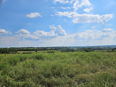 Missouri Ozarks 225 Acre Cattle Ranch with Hay Grounds - image 36