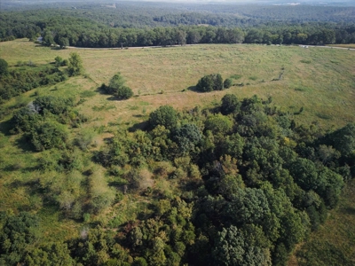 Missouri Ozarks 225 Acre Cattle Ranch with Hay Grounds - image 22