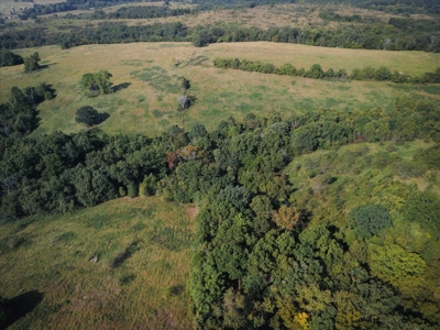 Missouri Ozarks 225 Acre Cattle Ranch with Hay Grounds - image 20