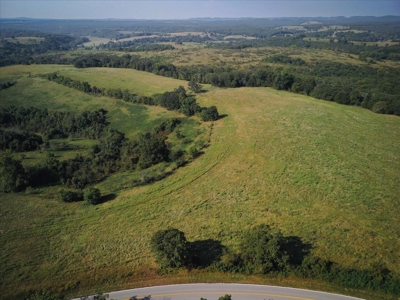 Missouri Ozarks 225 Acre Cattle Ranch with Hay Grounds - image 14