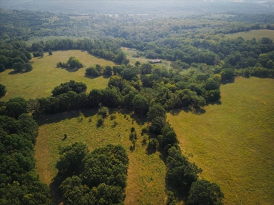 Missouri Ozarks 225 Acre Cattle Ranch with Hay Grounds - image 9