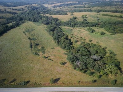 Missouri Ozarks 225 Acre Cattle Ranch with Hay Grounds - image 3