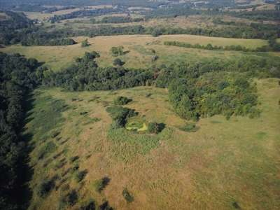 Missouri Ozarks 225 Acre Cattle Ranch with Hay Grounds - image 5