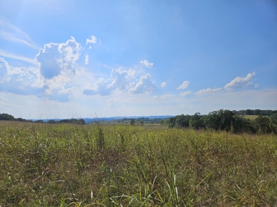 Missouri Ozarks 225 Acre Cattle Ranch with Hay Grounds - image 31