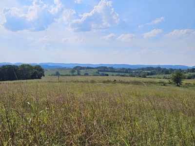 Missouri Ozarks 225 Acre Cattle Ranch with Hay Grounds - image 27