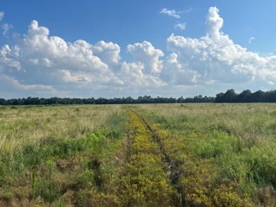 Commercial Property Scott, La. 650 feet of FRONTAGE on I-10 - image 14