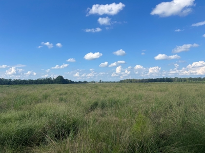 Commercial Property Scott, La. 650 feet of FRONTAGE on I-10 - image 7