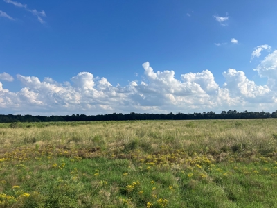 Commercial Property Scott, La. 650 feet of FRONTAGE on I-10 - image 16