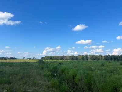 Commercial Property Scott, La. 650 feet of FRONTAGE on I-10 - image 17