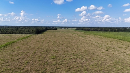 Commercial Property Scott, La. 650 feet of FRONTAGE on I-10 - image 8