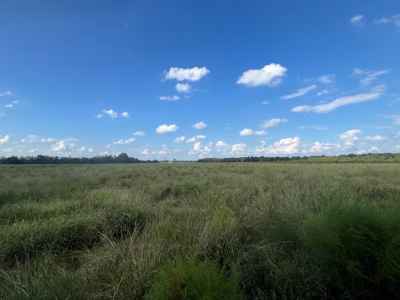 Commercial Property Scott, La. 650 feet of FRONTAGE on I-10 - image 18