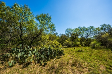 389 Acres in Hondo, TX – Medina County - image 25