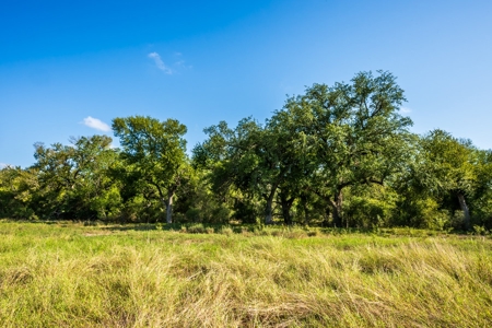 389 Acres in Hondo, TX – Medina County - image 2