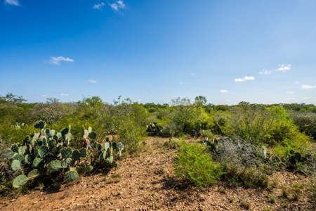 389 Acres in Hondo, TX – Medina County - image 16