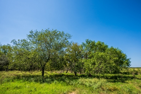 389 Acres in Hondo, TX – Medina County - image 26
