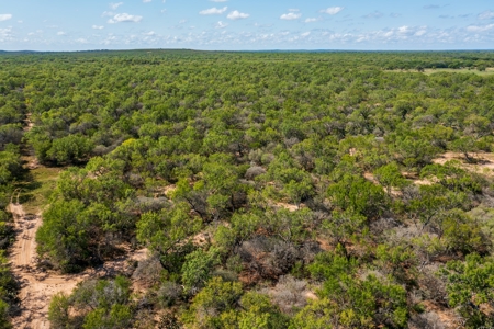 389 Acres in Hondo, TX – Medina County - image 28