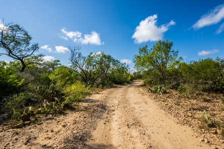 389 Acres in Hondo, TX – Medina County - image 7