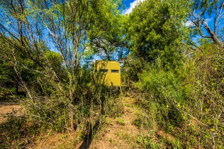 389 Acres in Hondo, TX – Medina County - image 12