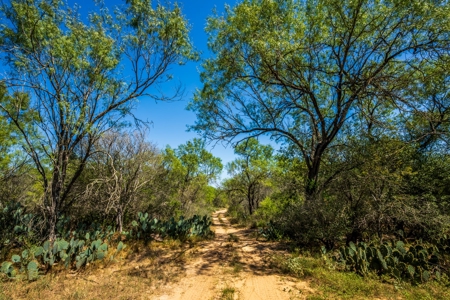 389 Acres in Hondo, TX – Medina County - image 18