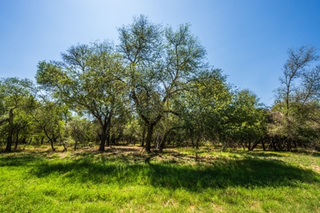 389 Acres in Hondo, TX – Medina County - image 27