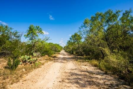 389 Acres in Hondo, TX – Medina County - image 6