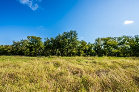 389 Acres in Hondo, TX – Medina County - image 4