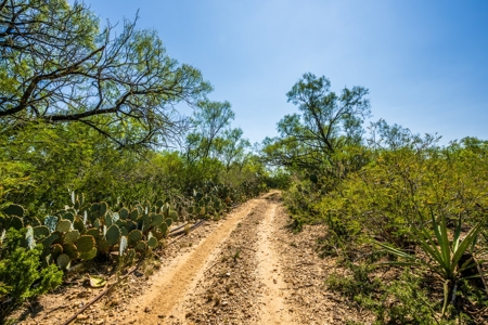 389 Acres in Hondo, TX – Medina County - image 23