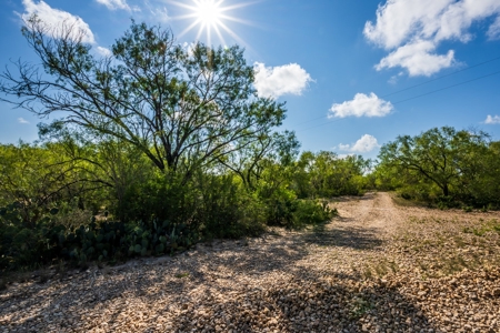 389 Acres in Hondo, TX – Medina County - image 8