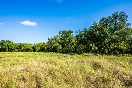 389 Acres in Hondo, TX – Medina County - image 5