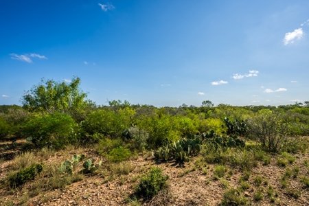 389 Acres in Hondo, TX – Medina County - image 15