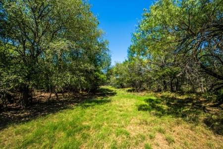 389 Acres in Hondo, TX – Medina County - image 22