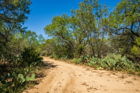 389 Acres in Hondo, TX – Medina County - image 24
