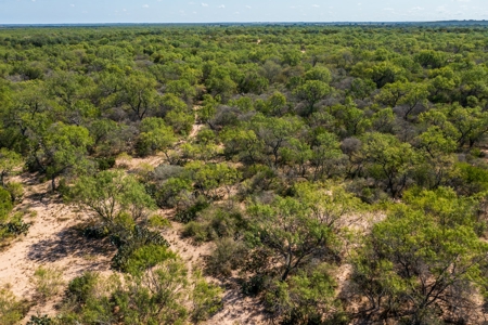 389 Acres in Hondo, TX – Medina County - image 29