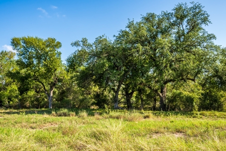 389 Acres in Hondo, TX – Medina County - image 3