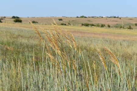 Airport For Sale Land Ninnekah Grady County Oklahoma - image 15