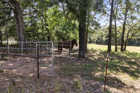 Bull Shoals Lake Front Log Cabin on 77 Acres in Pontiac, MO - image 44