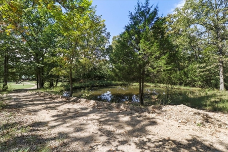 Bull Shoals Lake Front Log Cabin on 77 Acres in Pontiac, MO - image 38