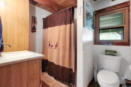 Bull Shoals Lake Front Log Cabin on 77 Acres in Pontiac, MO - image 14