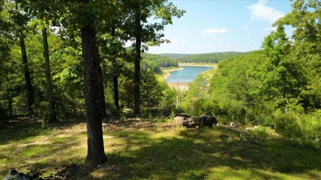 Bull Shoals Lake Front Log Cabin on 77 Acres in Pontiac, MO - image 46