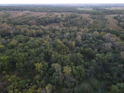 Southern Iowa Gem! Pristine 85 acre Hunting Farm Exline IA - image 12