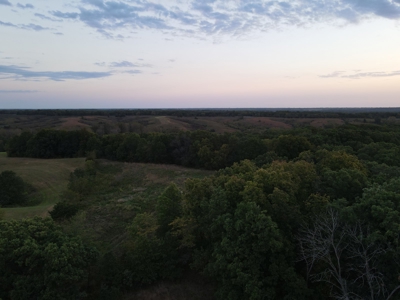 Southern Iowa Gem! Pristine 85 acre Hunting Farm Exline IA - image 30