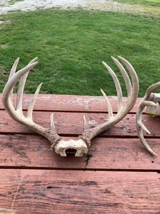 Southern Iowa Gem! Pristine 85 acre Hunting Farm Exline IA - image 31